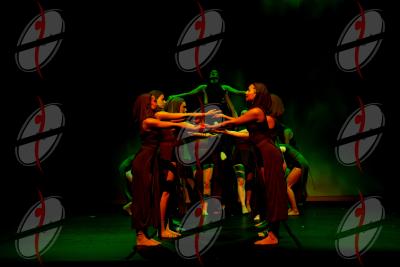 SHOW_00775.jpg